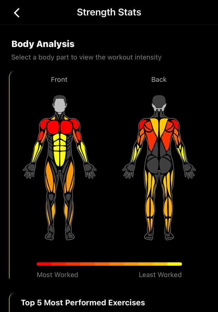 Exercise Library Interface