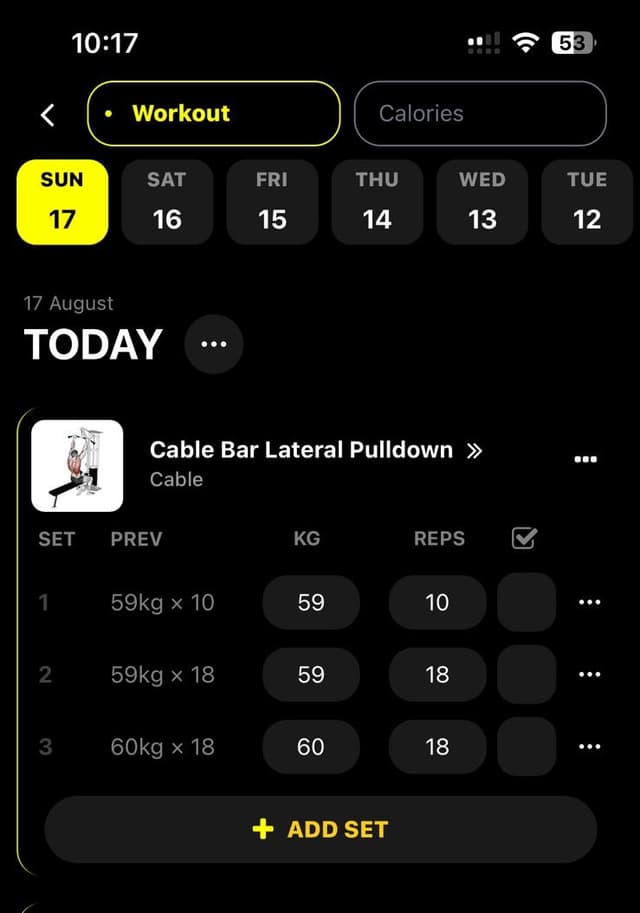 Workout Logging Interface